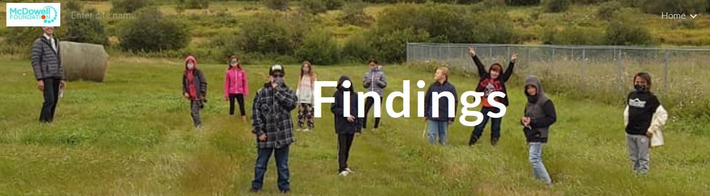 Findings